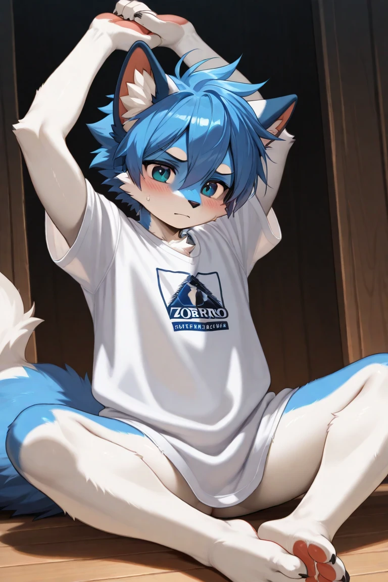 A furry woft have blue light fur with eyes colour red darl, with naked wear underwear Japanese style