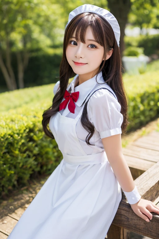 Anime Maid