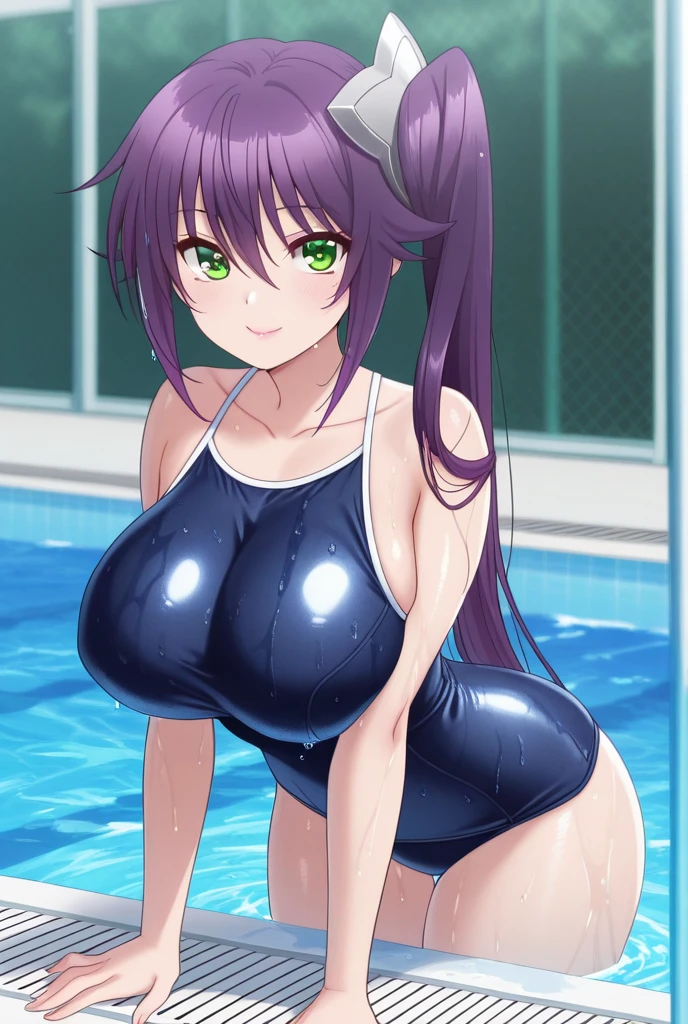 table top, highest quality, Asagi, 1 girl, chest, alone, Sweat, Purple one piece swimsuit, large chest, cleavage, smile, wide hips, looking at the viewer, put your hands on your hips, blush, huge chest, blue hair, long hair, bangs, hair between eyes, green eyes, night, detailed and beautiful eyes,draw hands accurately,