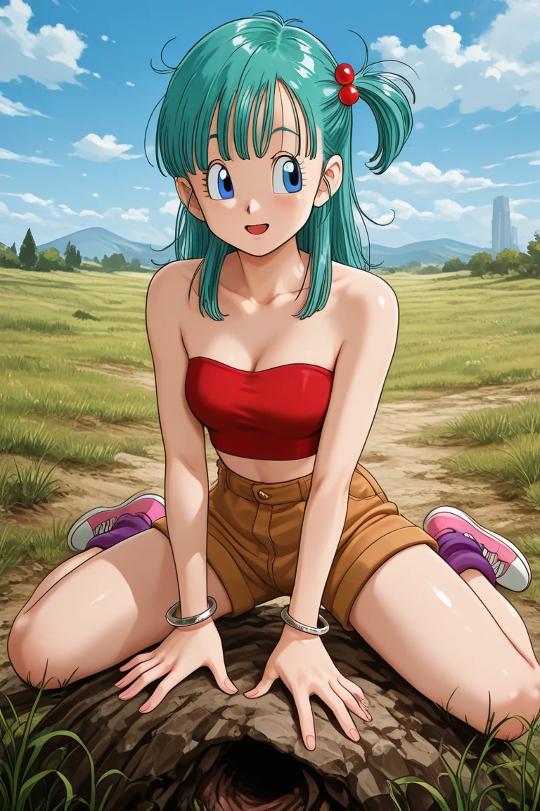 (Highres), (Detailed Illustration), Ultra-Detailed, 8k, nsfw, bulma \(dragonball\), 1girl, solo, long hair, looking at viewer, bangs, blue eyes, detailed background, sitting in field of flowers, shirt, sitting, full body, short sleeves, aqua hair, shoe soles, shorts, socks, hands on ankles, sleeves_rolled_up, feet together, knees apart feet together, :o, backpack, sneakers, sleeves rolled up, watch, wristwatch, brown shorts, collarbone, arms by side, fingernails, medium breasts, pink_legwear, red footwear, white shirt, teeth, raised eyebrows, eyebrows, eyelashes, messy hair
<lora:bulmaDragonBall:0.7> <lora:add_detail:1> <lora:hairdetailer:0.8>>