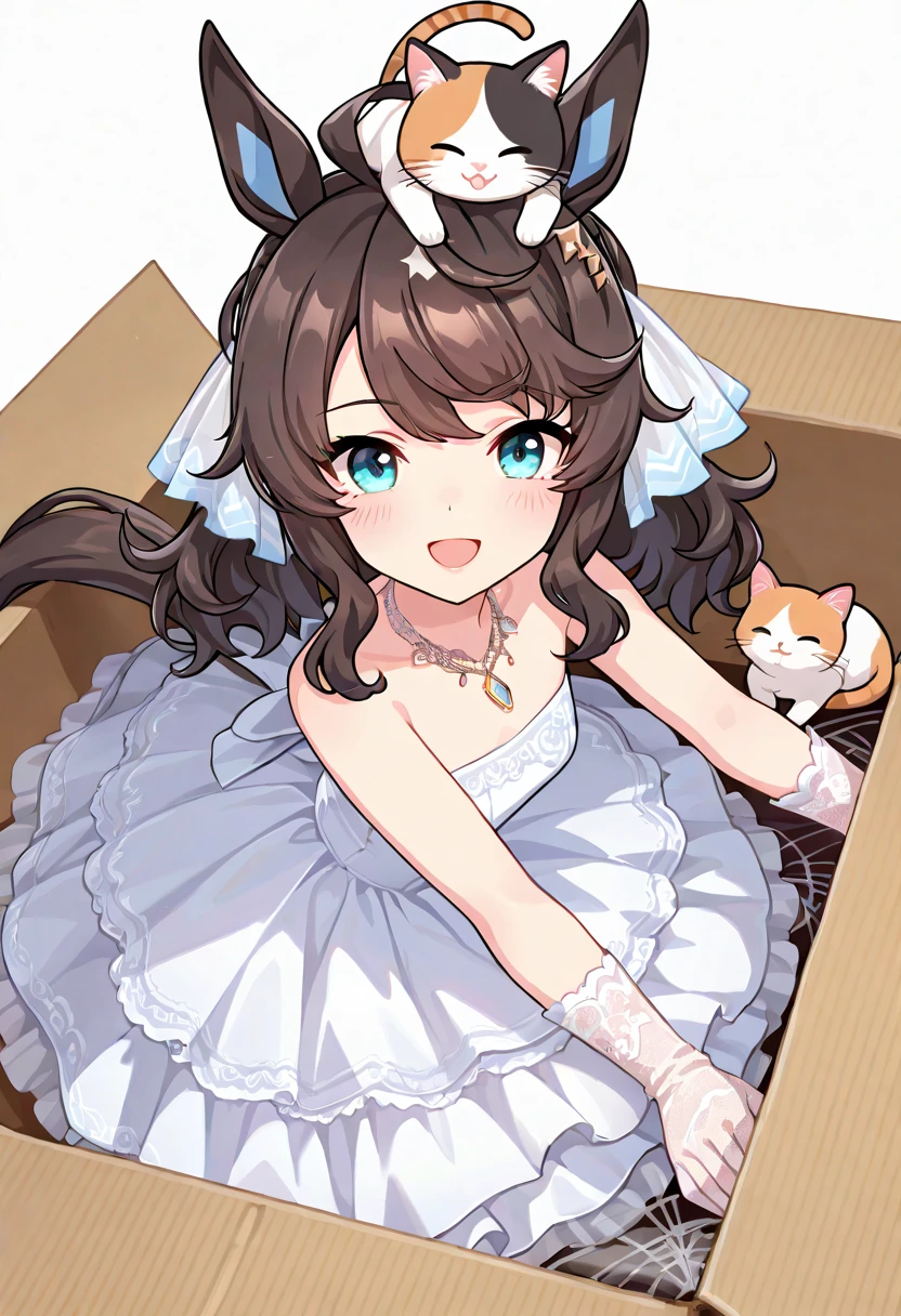 ((((chibi)))), (masterpiece, best quality, perfect face:1.4), wide angle, silence suzuka \(umamusume\), horse ears, ear cover, white headband, small breasts, horse tail, tail on the lower back, proportional body, proportional, (1 girl), beautiful hair, beautiful face, beautiful detailed eyes, beautiful bride wearing beautiful wedding dress, (bridal veil:1.5), (Transparent short veil:1.5), (tube top wedding dress:1.5), (Silk dress:1.2), (Strapless wedding dress:1.5), pure white dress, necklace, lipstick, (lace gloves:1.5), long white dress, ((cat on top of head)), ((lying in cardboard box)), box labeled "umazon", BREAK, blush happy smile (open mouth), white background,