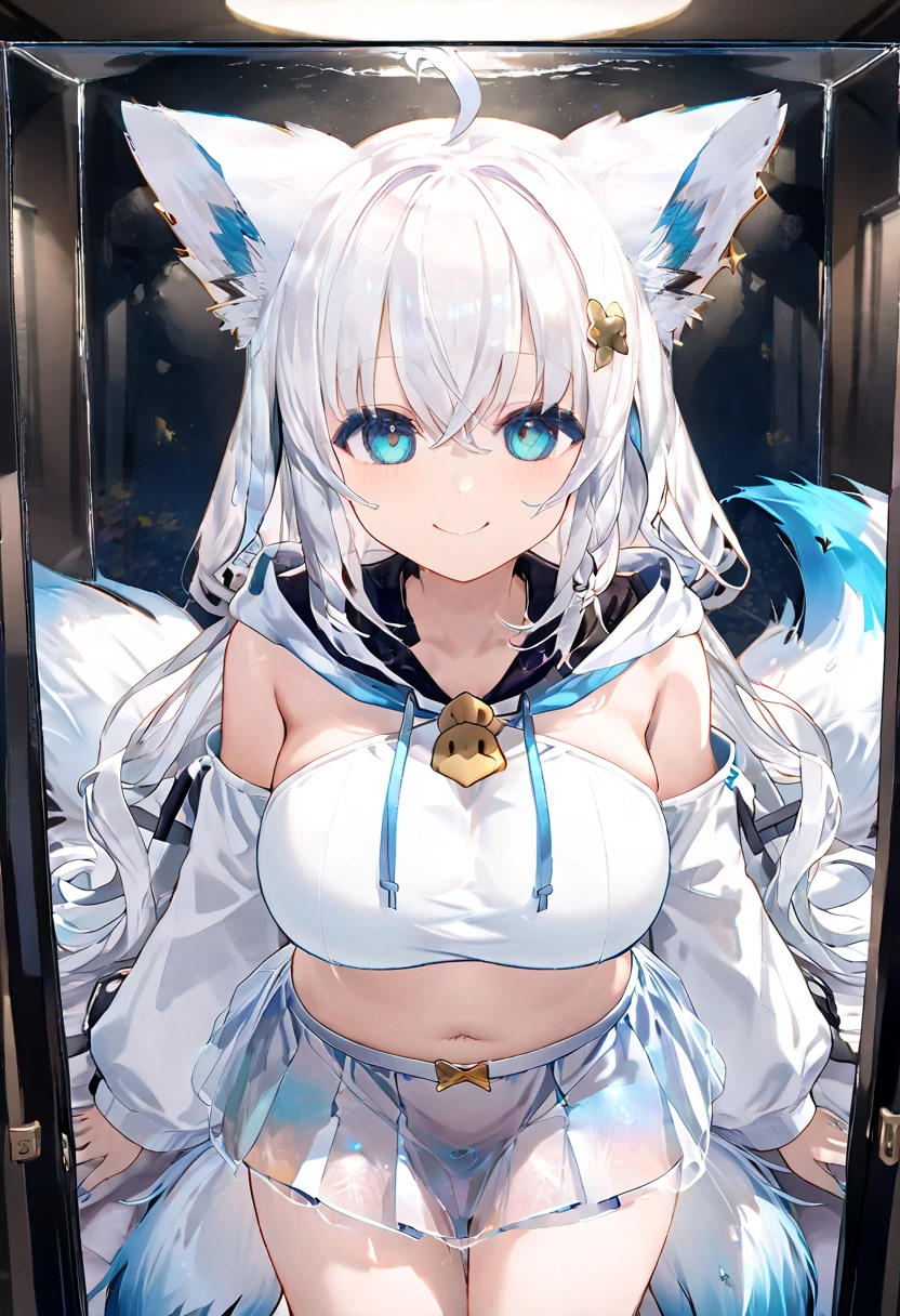 (Highest quality), (High resolution), (masterpiece), (Very detailed), Wolf Ear, Silver Hair, Long Hair, Bright Blue Eyes, Blue Archive Art Style, One Girl, Silky skin, Shiny skin, Athletic build, blush, Heavy breathing, chest, (Thin dress, Not wearing underwear), Front view, (Bright saturation), Sexual pose, Dripping love juice, Heart pupil, (大きなchest:1.1), (Saggy breasts:1.5), Expressions of joy, Trembling with sexual climax, Heavy breathing