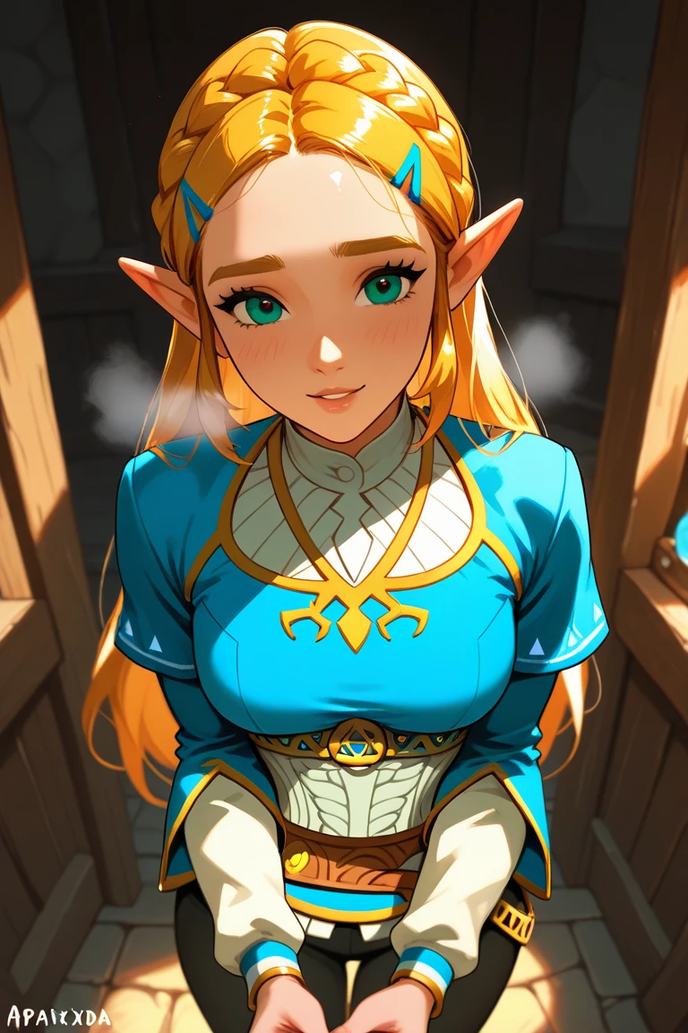 High resolution, Very detailed, perfect lighting, beautiful detailed eyes, ((masterpiece,Best Quality)), absurdities, alone, princess zelda, by the width, crown braid, Hair clip, pointy ears, blue shirt, long sleeves, Gloves without fingers, black gloves, Black pants, tight pants, smile, curves, nod, , deep neckline, deep neckline, bare breasts, bare breasts, NSFW, visible nipples, visible nipples