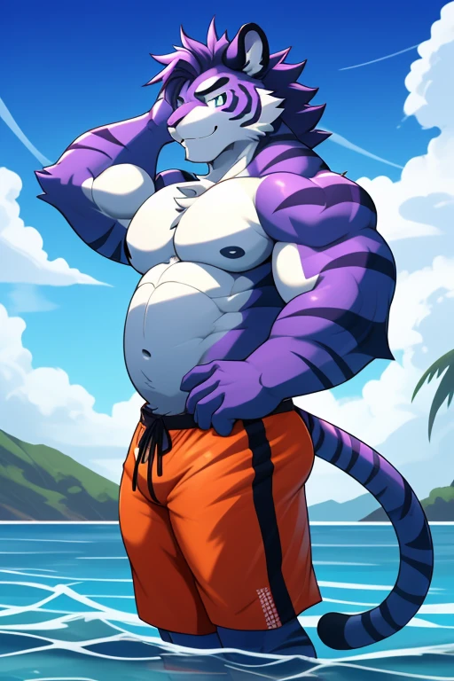 A dragon, purple skin, muscular, at the beach, swim trunks, large bulge, flirtatious expression , low angle, view from front