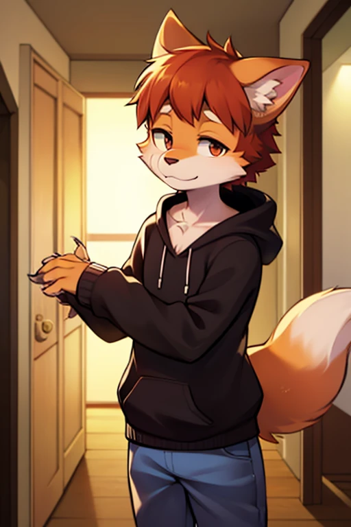 fox boy,????????????,Embarrassed face,Red collar,hoodie clothes