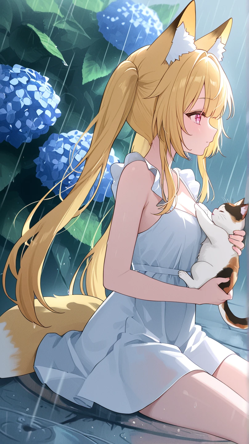 Little milk cat and her mother,Mom wears a crown,And Nanny Dad,Live in the rainforest,And a group of little milk cats