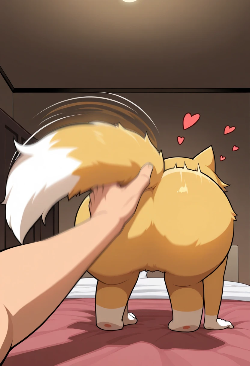 Solo, score_9,score_8_up,score_7_up, source_furry, (an Anthro furry shiba inu girl, furry body, female canine, snout, black nose, pointy dog ears, black lips, blue eyes, long platinum blonde hair, long hair, tall and curvy, naked, nipples):1.4, sex, doggystyle sex, human male is fucking her from behind, ahegao, :O, arched back, on a bed, simple white background, male is pulling her hair, spanking her ass, side view