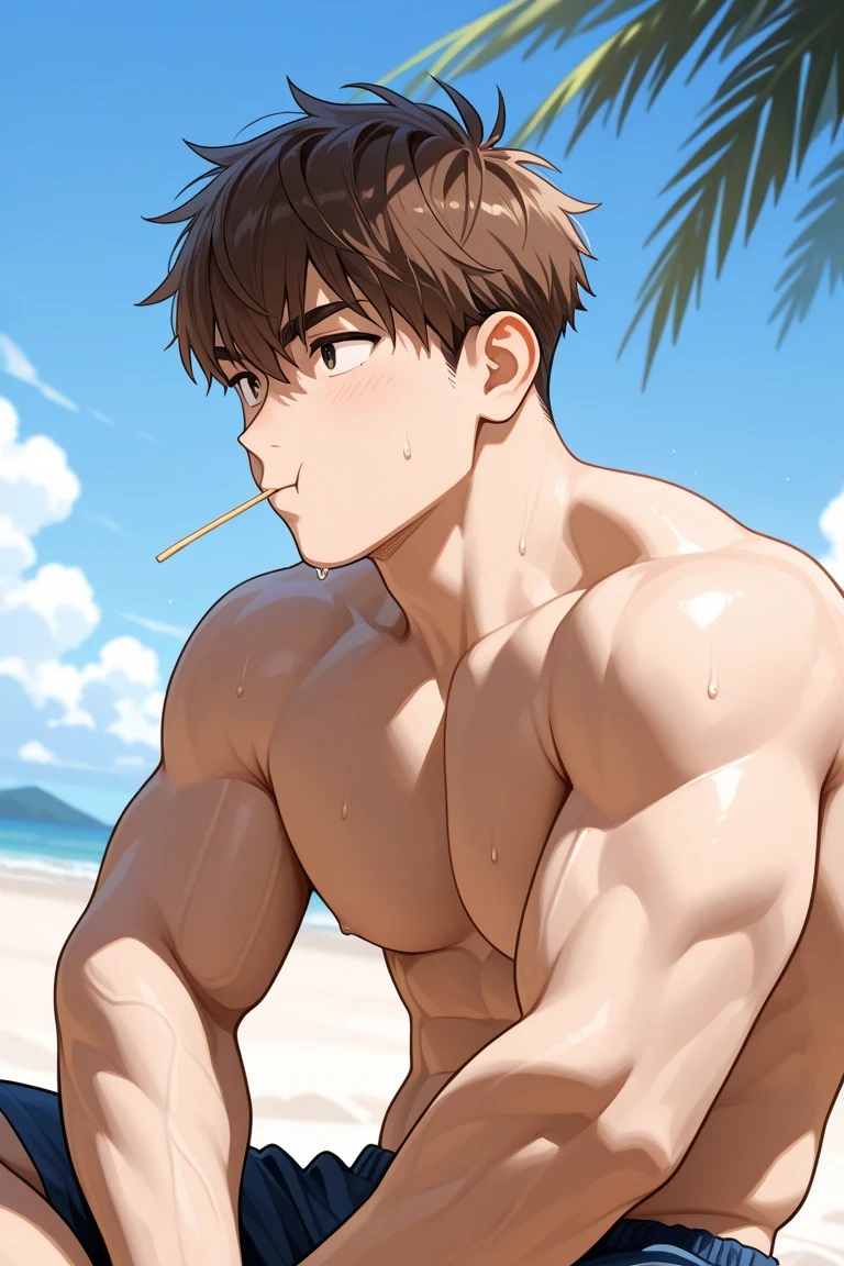 (score_9,score_8_up,score_7_up,score_6_up,score_5_up,score_4_up), best quality, best lighting, high-definition background, in Japanese anime style, 1 boy is 18 yo, brown hair, red eyes, muscled, topless, ((veiny arms)), speedo, (bulge with penis and testicle shape), , beach, public hair,