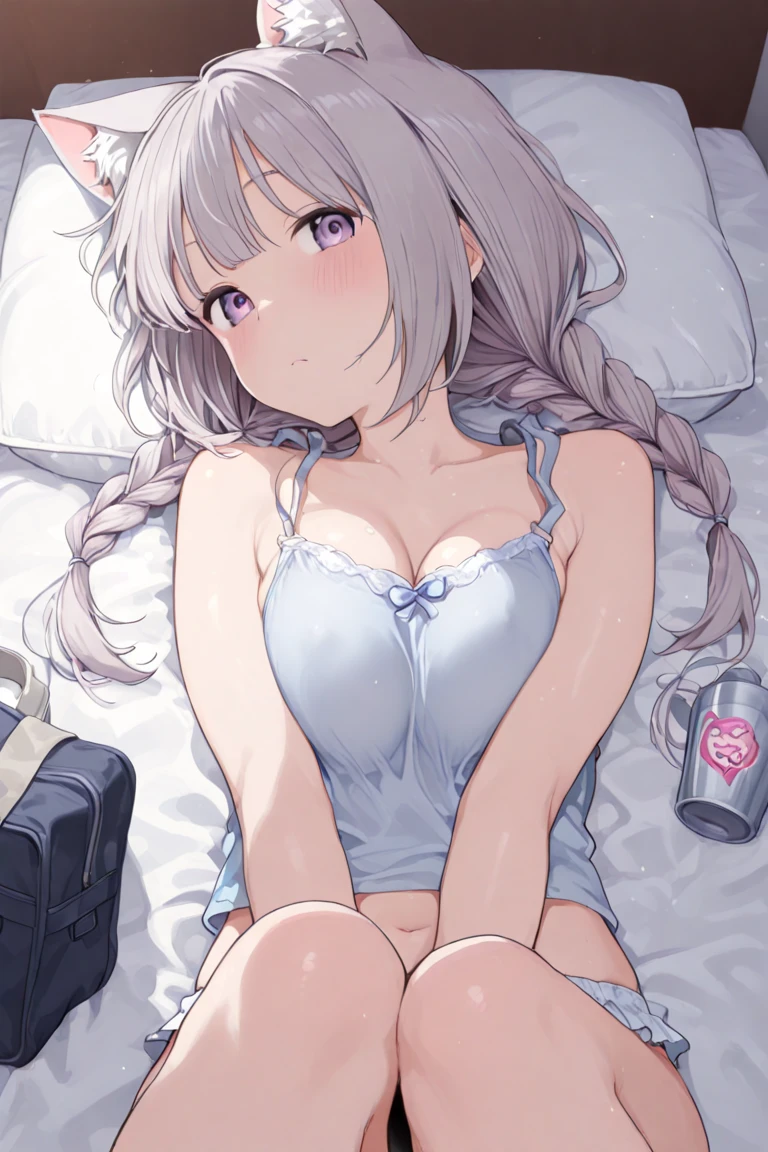 1girl in、As-、Cute underwear、Detailed Lace Lingerie、FULL BODYSHOT、(long silver twintails)、Hug a cute stuffed animal、backshots、from the rear、Drenched、(all-fours)、ideal small butt、Ergonomically suitable、(light pink lingerie)