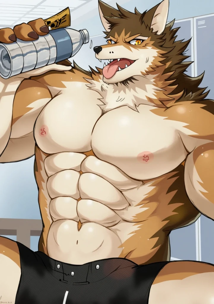 yan shu chi, full body, ambient light, posted on e621, topless, abs, green eyes, ultra high quality, 4k, sweat, sweaty, gym, bulge, underwear, bulge on underwear, big bulge, nipples, penis, huge penis