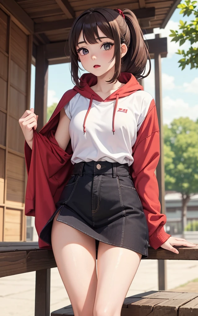 (masterpiece, exquisite beautiful eyes: 1.5), masterpiece ,1 girl,,(Beautiful red eyes),hoodie, no bra:1.2
