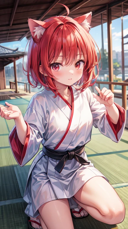 karate、girl、Torn street clothes、Disarray of clothing、The End of a Fierce Battle、red birthmark、Bandage、dojo、Japanese-style room、Kick、High Kick