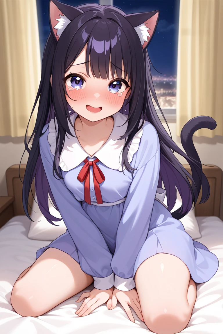 highest quality、girl、全naked、Cat Mimi、spread legs、open legs、naked、Pussy