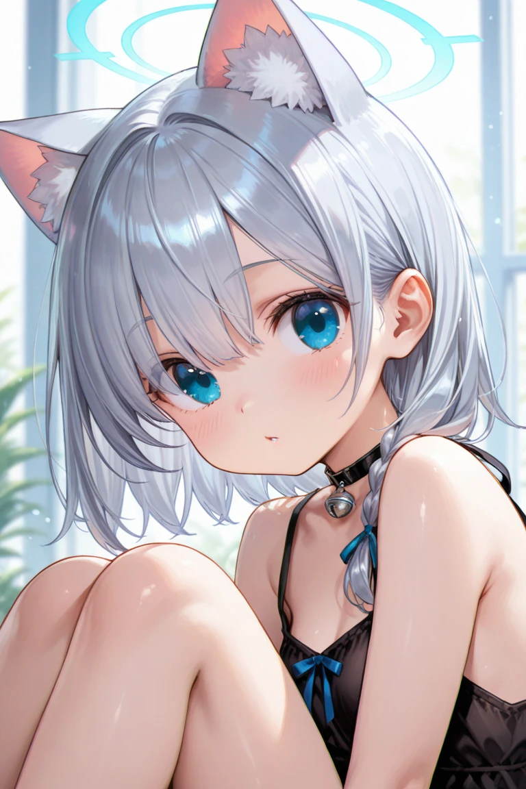 -pet girl-dog, 1girl, shiroko \(blue archive\), underwear, panties, black panties, bra, animal ears, cross hair ornament, halo, black bra, breasts, blue eyes, solo, ass, all fours, leash, thong, animal ear fluff, grey hair, hair ornament, mismatched pupils, collar, blush, bangs, medium breasts, viewer holding leash, looking at viewer, underwear only, cleavage, medium hair <lora:pet girl-dog-000016:1>