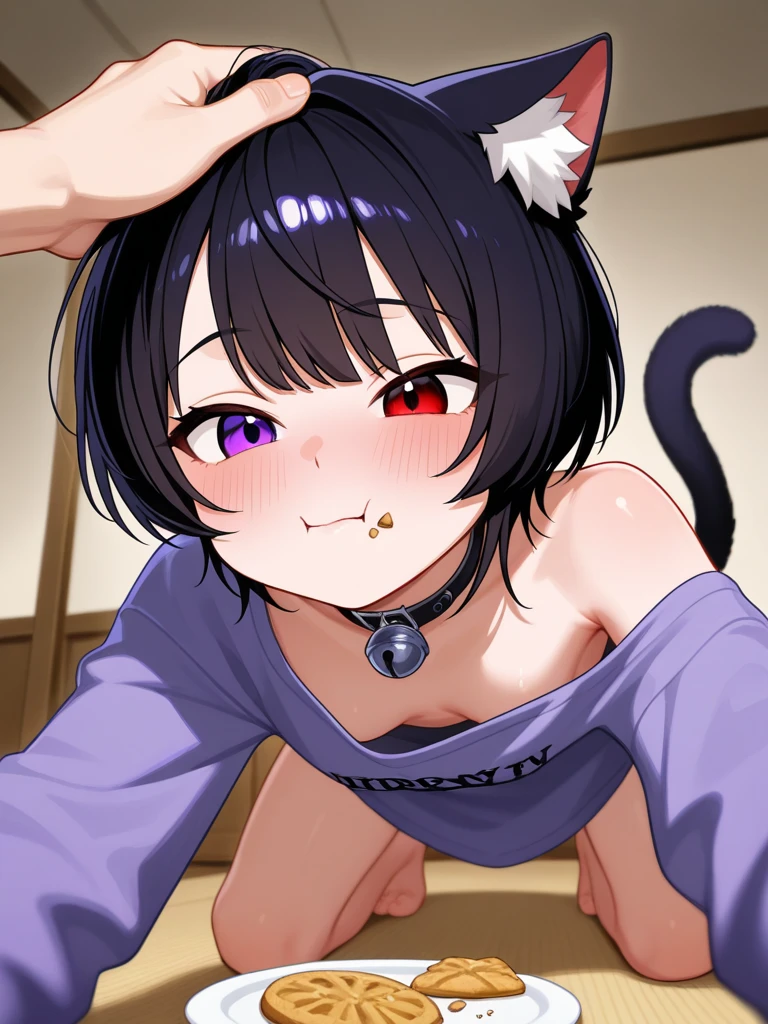 ((masterpiece, best quality)), high resolution,ultra detailed,8k,16k,detailed background, perfect lighting,detailed beautiful eyes,perfect pussy,clitoris,1girl,nsfw,embarrassed,blush,look at viewer,steam,sweat,show off pussy,show off breast,aroused,open mouth,wavy mouth,close up face,(from above:1.2), (pov:1.4),(front view:1.2),fisheye lens,1boy,1penis,(vaginal,sex:1.4),confused, boy on top,face to face,hetero,penis in vagina,open arms for viewer,spread legs,in heat,cum in vagina,(nishino_flower,short stature,little_girl,flat chest,black hair,short bob hair,purple eye,horse_ears,headband,anime style,flat color),living,nude