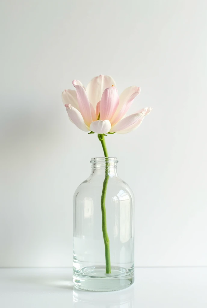 "A photograph with no people, featuring a light gray background. A single flower in a glass vase is placed on a white surface, creating a simple and elegant composition."