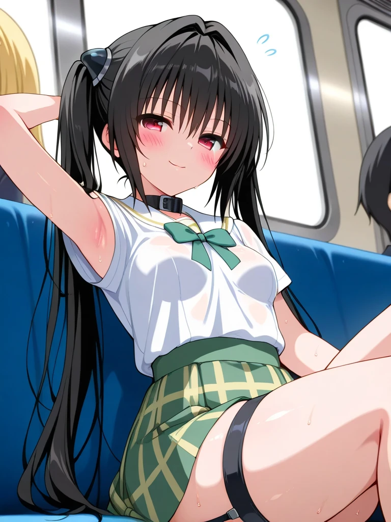 (1) Sitting alone on a long seat in a train,Sit with your legs apart,Showing white panties, Composition from the front,Low - Angle,
(2) I'm a jk, She is wearing a uniform consisting of a miniskirt, sailor suit and loose socks.,
(3) I have medium length brown hair,
(4) The expression is provocative and smirking.,
(5) The location is a long seat on the Yamanote Line at night.,There are no other customers,The view outside the window is the night view of the city