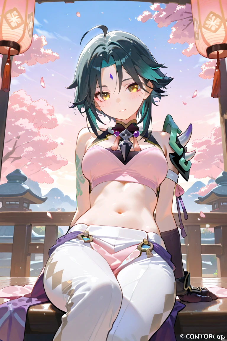 (NSTDA.:1.2), (10, beste-Qualit, master-piece: 1.4), ultra-high resolution, (lifelike, photorealistic portrait: 1.48), 20 age, Cute Girl, (See through the bikini beetle), Famous Japanese actors, beautiful clear eyes, G Cup Big Breasts, Head tilt., cowboy shot, from the side, looking at the audience, expressionless, Beautiful lake, Zeiss 150mm F/ 2.8 Hasselblad, Beautiful cherry blossom forest, Whole body, foot, Ultra-Wide Angle, The backyard is a beautiful sea................................................ ,