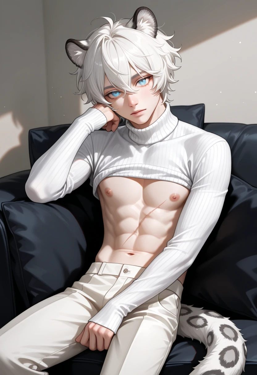 White hair，beast ear，barechested，Unoccluded。