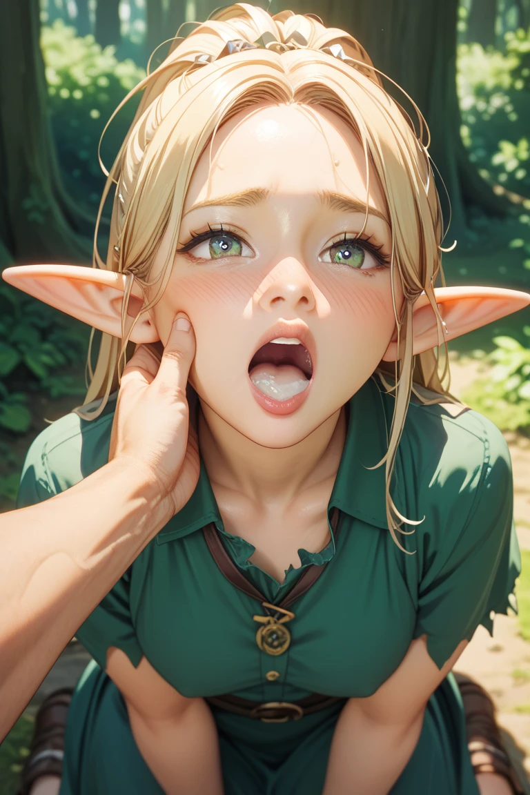score_9, score_8_up, score_7_up, source_anime, best quality, masterpiece, official art, absurdres, highres, ultra-detailed,waifu2x,Collection: Slice of Life,break,1girl, YoungLink,13-year-old, small breasts, blonde hair, green tunic, pointy ears, hat, solo, blue eyes,green_headwear belt, (nipple:0.6), sweat, saliva, (yawn:0.5),blush, penis, twitching penis, oral sex, felatio, cum, motion lines,projectile cum, facial, bukkake, hot breath, sound effects, meadow, outdoors, wind,break,(clear line illustration:1.2), super detailed skin,very high resolution, very aesthetic, Best sexual lighting powered by famous artist, 8k,cute picture,beauty illustration,photoshop_(medium),,(Detailed Lighting),best anime 8k konachan wallpaper, pixiv contest winner,