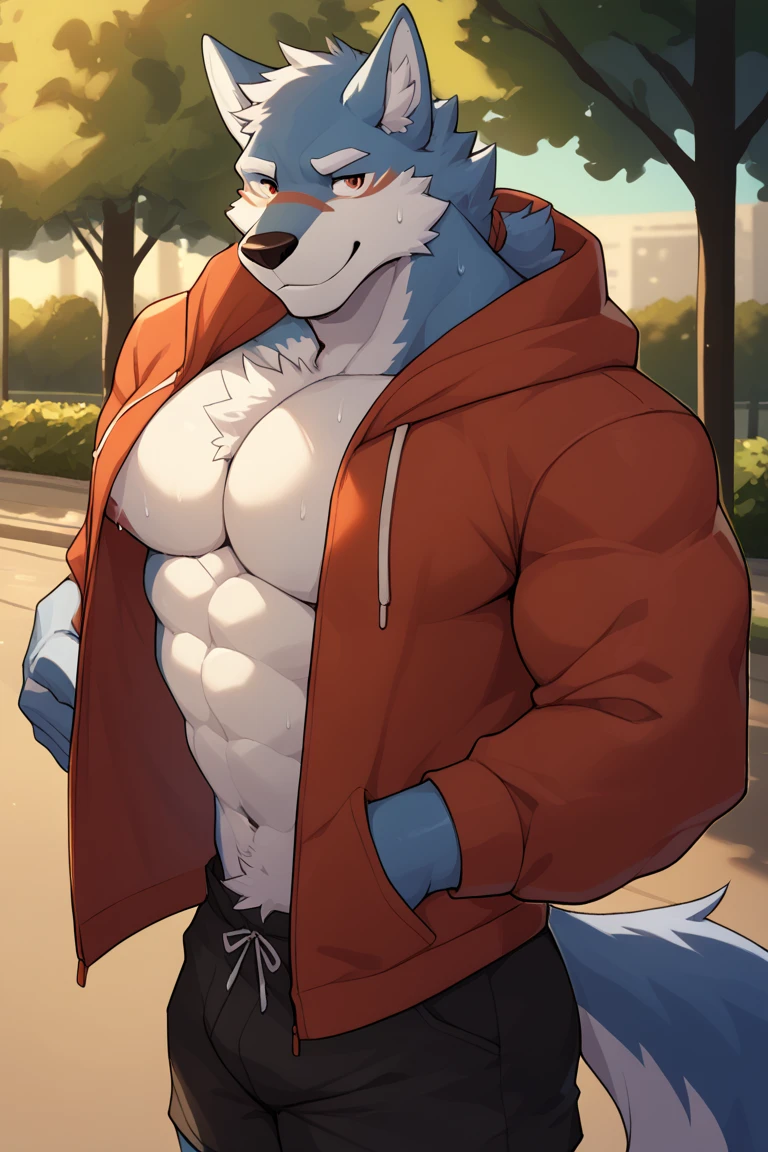 white background, front view, flexing, muscles, pubic hair, muscular, long white hair, navel hair, furry, wolf, long tail, male, sweat, sweating, wearing boxer briefs, wearing hoodie(shirtless, hoodie, open hoodie, handsome), looking at viewer, smiling, blushing, shy, tongue sticking out