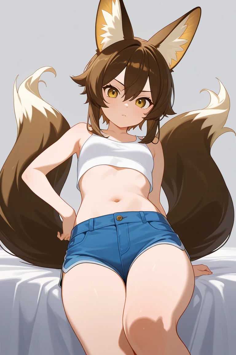 masterpiece, best quality, (sitting on the fence), yellow eyes, smiles, (bare feet:1.2, tanned skin:1.2), legs spread, 1girl, athletic body, intricate,  hdr, ((cameltoe)),small fox ears, brown long hair, fox tail