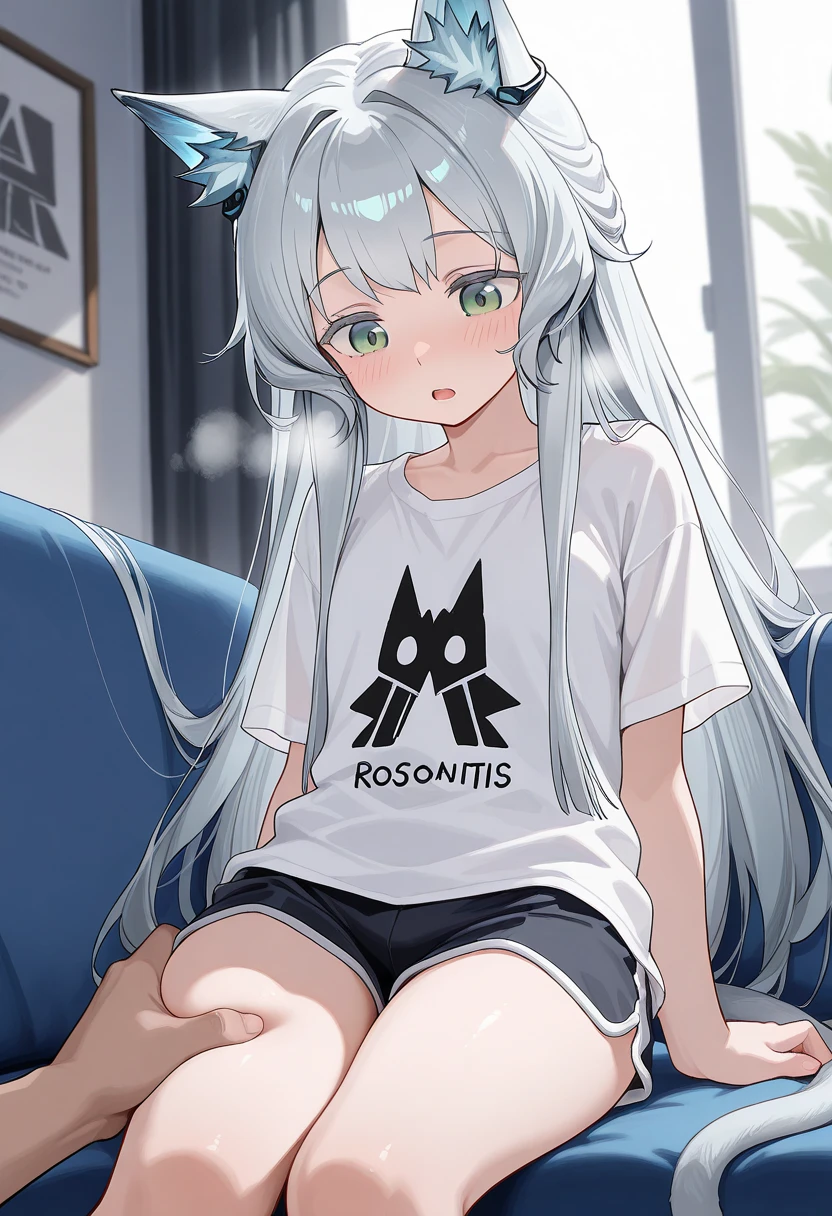 masterpiece, best quality, 1girl, elaina_(majo_no_tabitabi), silver hair, long hair, cat ears, cat girl, tail, lay on couch, laying