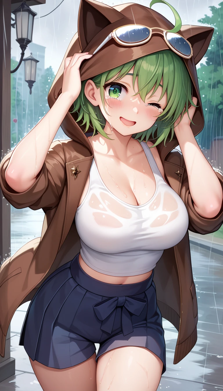 ((masterpiece, best quality)), highres, 8k, cinematic light, high contrast, depth of field, intense glow, detailed background, 1girl, cute, detailed eyes, sparkle in eyes, detailed iris, grin, stylized, (green_hair:1.3), messy hair, luminous, dreamer, dreamy eyes, sleepy, (yellow_eyes:1.3) enchanted green eyes, hood, hoodie, frog hoodie, (frog hood:1.5), froggy, (frog in disguise:1.3), unzipped hoodie, (naked hoodie:1.3), large breasts, cleavage, exposed body, exposed belly, partial nude, no pants, no skirts, bottomless, no shirt, shirtless, (green_hoodie:1.3), cute, cute smile, (blushing:1.3)