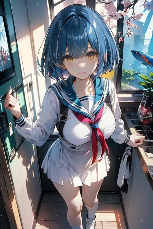 (Sky blue hair),(Braided short hair), (Pink Eyes),Fair skin) ,(whole body),(One Girl),(Embarrassed),(The background is a school classroom),(Heart-shaped chocolate),(Put your hands in front of you),(Sailor suit),(valentine&#39;s day),(masterpiece, Highest quality, Very detailed, Best Shadow), (Detailed Background), (Beautifully detailed face), High Contrast, (Best lighting, Very delicate and beautiful), ((Cinematic Light)), Hyper Detail,8k, Dramatic Light, Intricate details,High quality