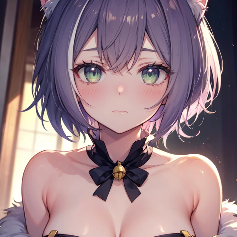 shy, embarrassed, blush, closed mouth, bright pupils, glint, red lips, nose blush, cat ears, longeyelashes, slit pupils, wide eyes, amber eyes, shiny hair, long hair, silver hair, high detail, anime, anime style, depth of field, cinematic lighting, ray tracing, masterpiece, accurate, anatomically correct, super detail, high details, high quality, best quality, highres, 4K