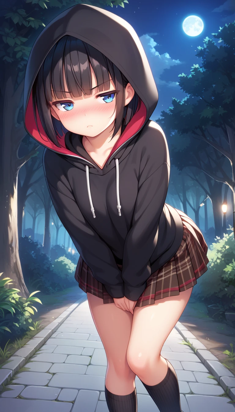 ???, pussy penetration