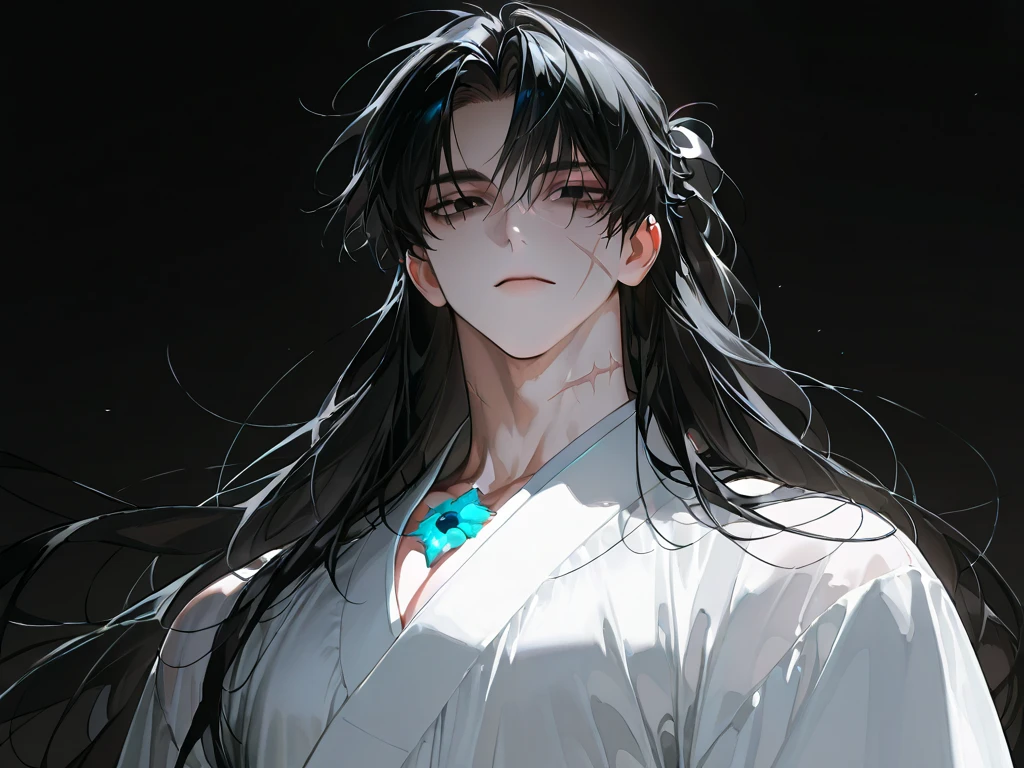 (masterpiece, best quality:1.2), 1male, solo, wei wuxian, mo dao zu shi, mdzs, grey eyes, long black hair, perfect anatomy, nudity, nude