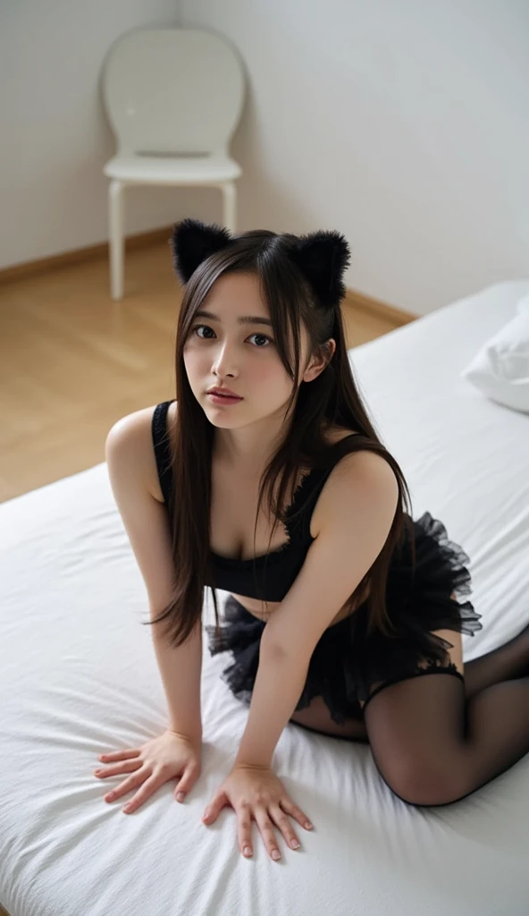 ((Highest quality, 8k)), ((masterpiece)), (Highest Resolution), Perfect Face, Woman with raccoon ears, Female college student, Beautiful woman, public, One tail, she has thick thighs, Big raccoon tail, She has a brown raccoon tail., She wags her tail, Troubled face, Fur collar, She is wearing a bra and panties, Beautiful Hips , One tailがパンティーから突き出す, Big Breasts, On all fours