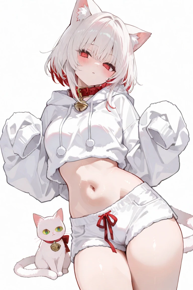 Furry white bear,White fur,In the daytime,Glowing hair