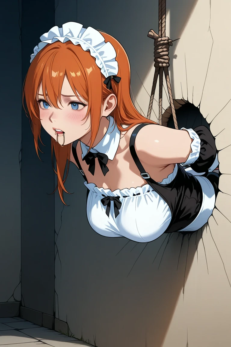 shibari bondage bdsm rope gag ball_gag