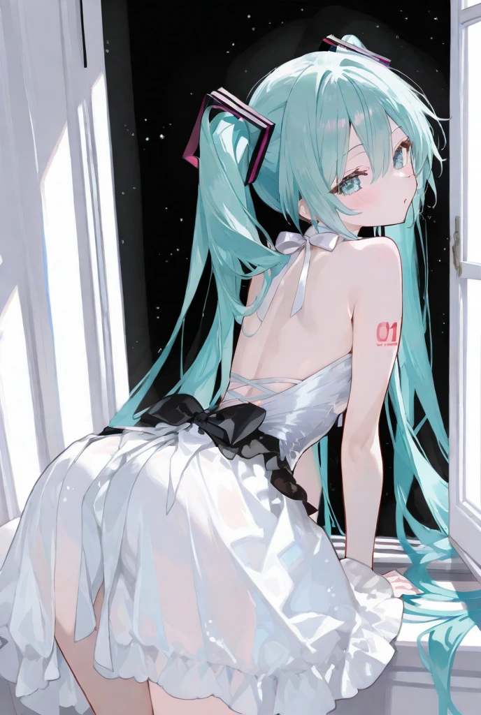 Hatsune Miku、Live costumes、Leg Raise