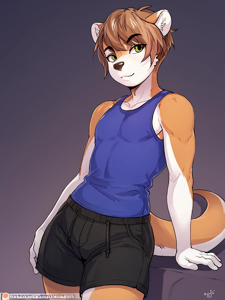 Orange fur，White hair，Black Blue Eyes，fox，Blue shorts，Blue sneakers，boy，Lovely。
