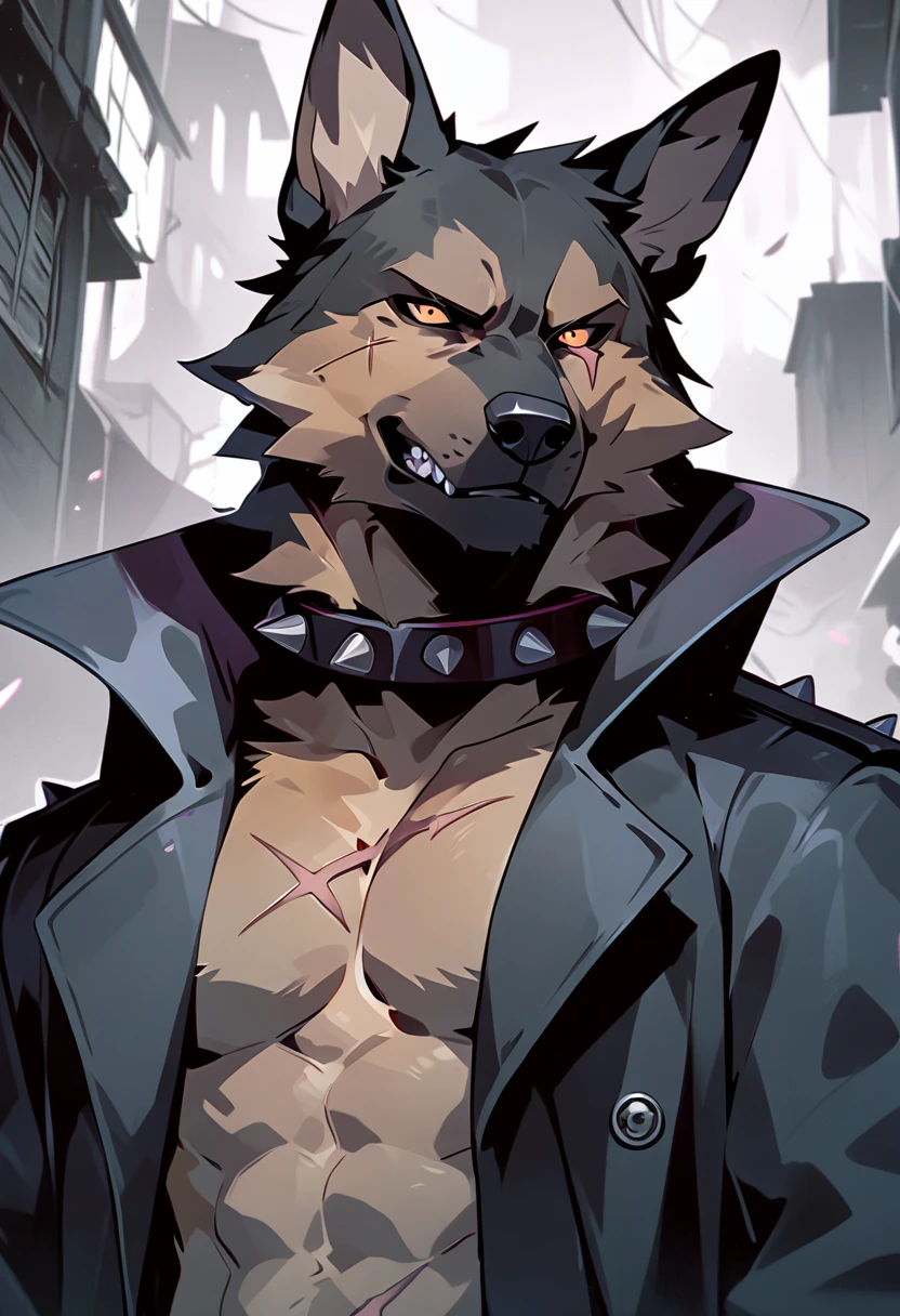 Masterpieces, furry, male, Anthropomorphic, hyena, veiny, thin and feminine body, Delicate eyes, white goatee, glistening body, street thug, biker thug, anime, depth of field, perfect lighting, (best quality),(masterpiece),(ultra detailed), sharp focus, detailed background, black boxer, shirtless, unbuttoned short vests, fierce look, soldier look, full body, six pack abs, black nipples, scars, black gloves, large chain necklace, hairy furry armpits, raise an arm pose, glossy skin