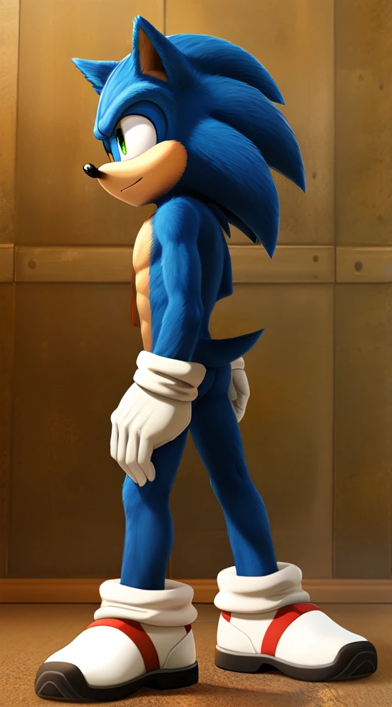 villain sonic