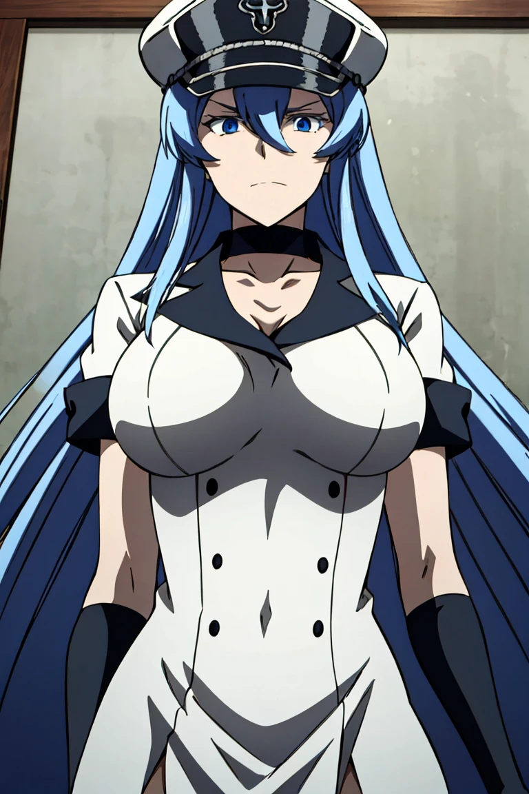 white serafuku, blue pleated skirt, red bowtie, (luxury classroom background), esdeath, anime cels style, best quality, high resolution, 1girl, (huge breasts:1.2), mature women, blue hair, long hair, (blue eye), blue eyebrow, beautiful face, (cowboy shot), looking at viewer, smiling