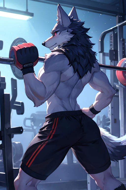 Masterpiece, Solo, Furry Gray wolf, Adult, Gray Fur, brown Eyes, Gray Short Hair, Very Muscular Body, Hard Muscle, Veins in the muscle, Good Looking, Handsome, Fierce, shirtless, Short Pants, Hot Pose,underwear boxer,gym