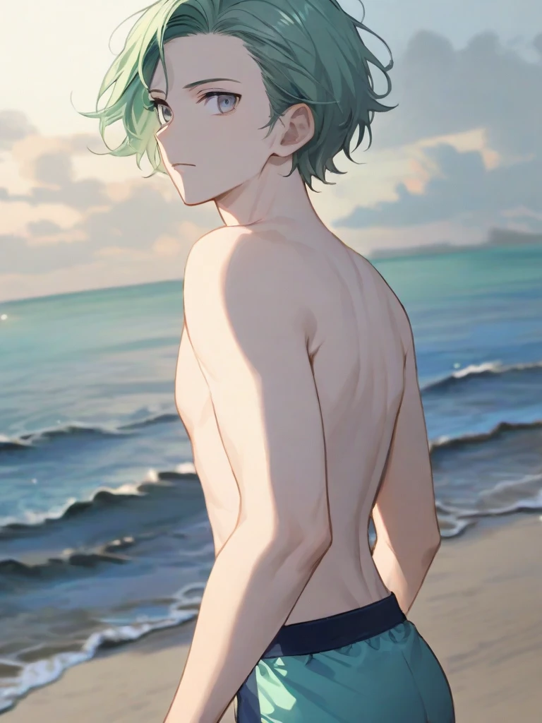 (masterpiece), ((sfw)), best quality, expressive eyes, perfect face, mature male, (1boy, adult Man), young adult, young man, solo, Green hair BREAK ahoge, blue eyes BREAK topless male, :/, looking at viewer, grass, landscape, ocean, palmtree, blue sky, standing, yellow shorts 