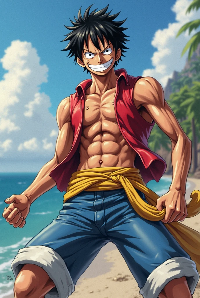 1 men, Monkey D Luffy with his arms crossed smiling 