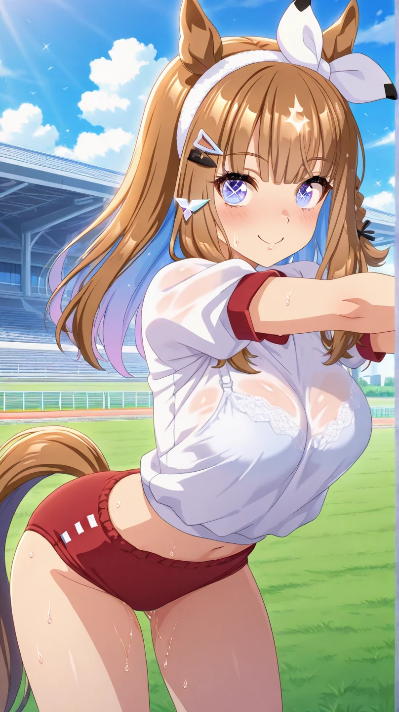 High resolution, high definition, high image quality,16k wallpaper,Perfect friend,perfect feet,perfect face,Inside the racetrack track,large number of spectators,A large amount of blizzard of flowers flows,smile,perfect feet.1 girl.(satono diamond),horse ears,tail, see-through white bra, white panties,collar,The leash is pulled by a man,Get down on all fours and look at the audience.A large amount of urine comes out of the panties, and the pubic hair is visible.