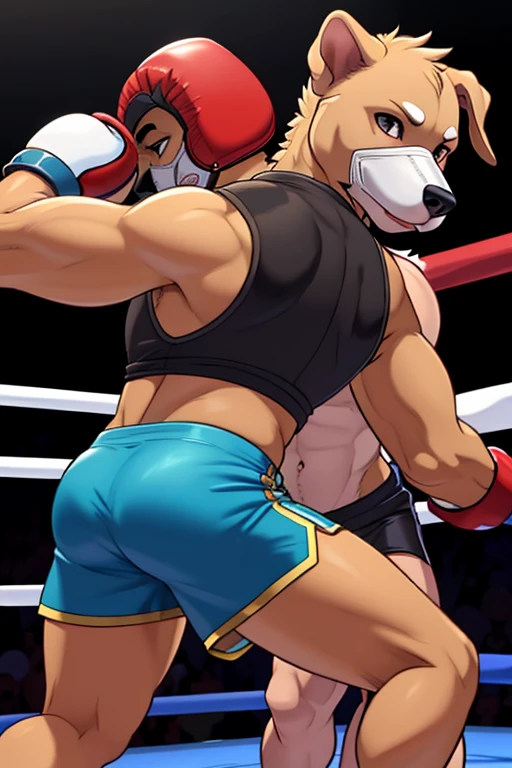 a detailed picture of a boxing match (male anthros, two boy), slim body, slim features, in a boxing ring, Ross Tran, ruan jia, trending on artstation, foxovh,User Interface of Fighting game, Crisis, assorted poses, assorted expression, full body, sound effects, motion blur, from side, ((yellow wolf, blue shorts, knocked out on the floor)), (((gray wolf, white shorts, boxing pose))) “VS”