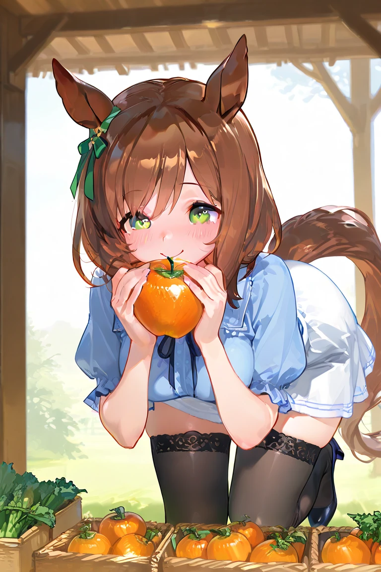 Realistic image, detailed image, coherent image. 1 beautiful girl. She has long, straight, brown hair. Red eyes, with long eyelashes. She has wolf ears and a wolf tail. Sensual expression. She is dressed in a strapless top and a pleated mini skirt. She has a curvy body, medium breasts and thick thighs. She is sitting with her legs open, she is on top of a carriage surrounded by apples. View from below. Arching her back. Soft focus, Dramatic shadows, Volumetric lighting, natural lighting.