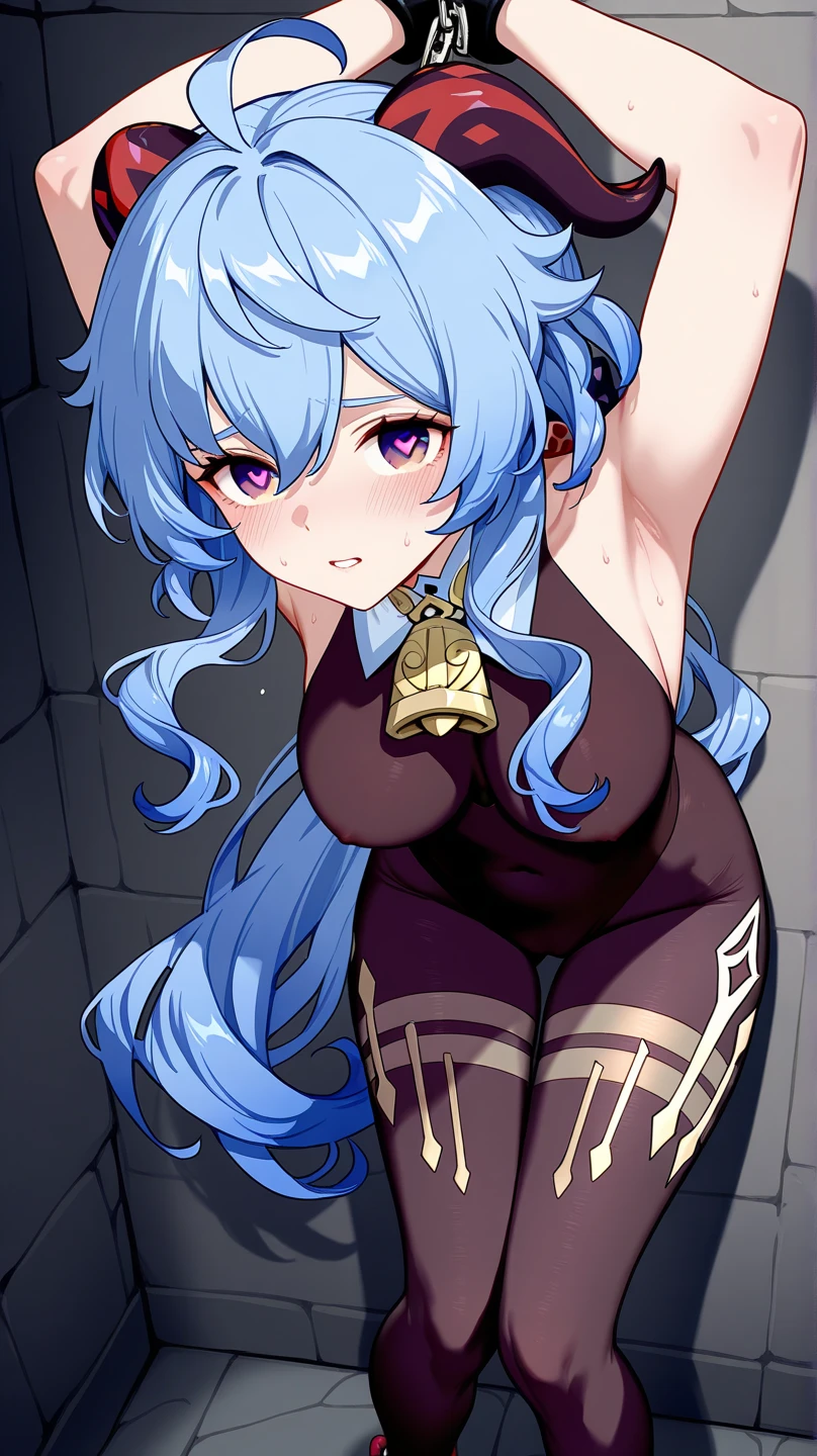 Tie the whole body with a string、Tortoise shell binding、barechested、tied up with ropes, Arms restrained by ropes, restrained hands, Rope fully restrained、Body restrained by ropes、tied with rope、hands tied up、blue hairs、Scream、Scream、get blush、slaves、1girl in、独奏、(Roped:1.2), obedience, hang, Spreading hands, Hands raised, perfect buttocks, Arched back, ([lookback : over the shoulder view : 15]:1.6), (dark shot:1.2), (intricate-detail:1.12), (intricate-detail, Hyper-detailing:1.15), Ruined restroom, Metamorphosis, srestrained、Braids