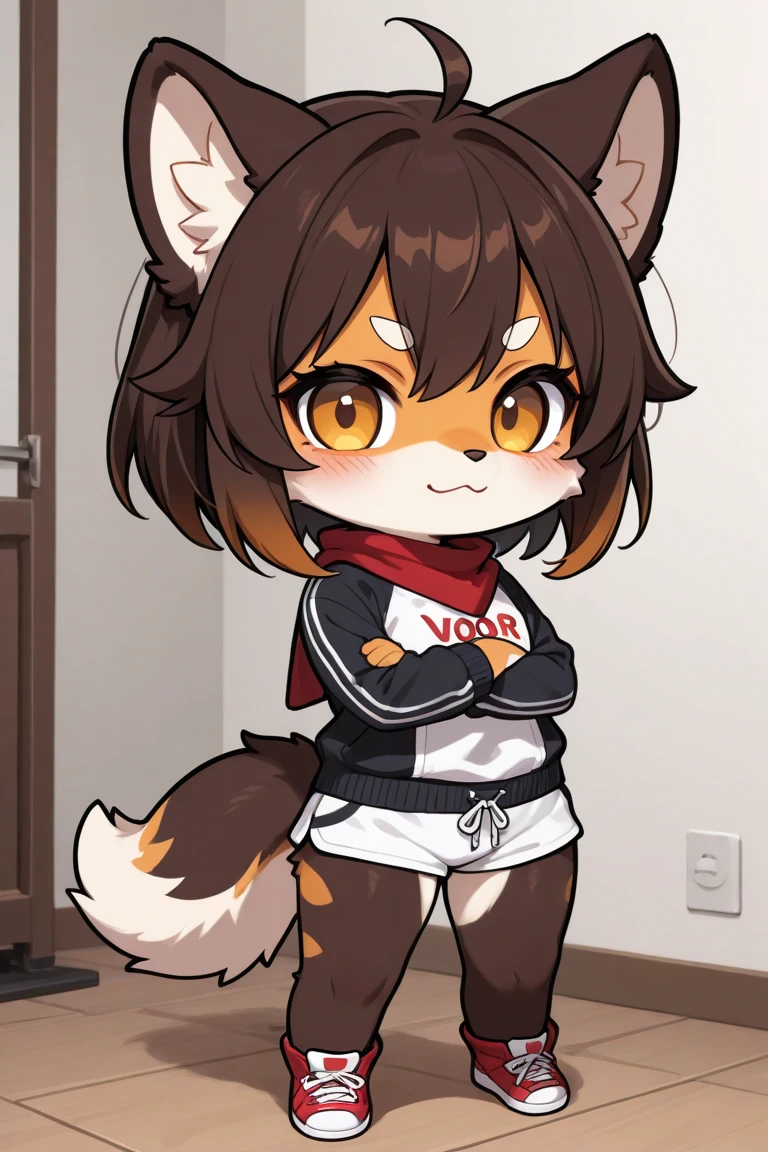 masterpiece, Highest quality, High resolution, wonderful, low-tied long hair, Black Hair, Red eyes, clavicle, black letterman jacket, fox ear, fox tail, Red ear hair, multicolored hair, multicolored tail, red streaks, Red and black tail, very long skirt, Are standing,