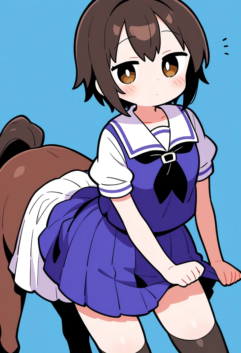 [[[masterpiece]]],[[[Highest quality]]],[[[Very detailed]]],Portraiture,Uma Musume,Gym Wear,Jim Bulma,White shirt,Short sleeve,See through,Pink Good,Cheek spots,Open your mouth,Look to the side.Bright smile,Medium Hair.,White Stockings,8-year-old,((nsfw)), Nipples