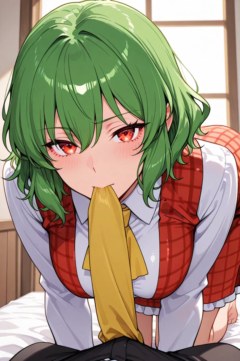 masterpiece, best quality, 1girl, 1boy, standing sex, doggystyle,tatsumaki,green hair green eyes.